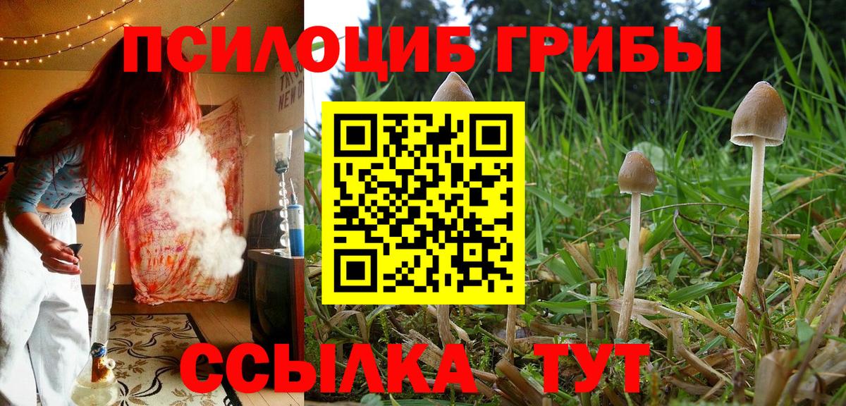 Псилоцибиновые грибы Magic Shrooms  Карачаевск 