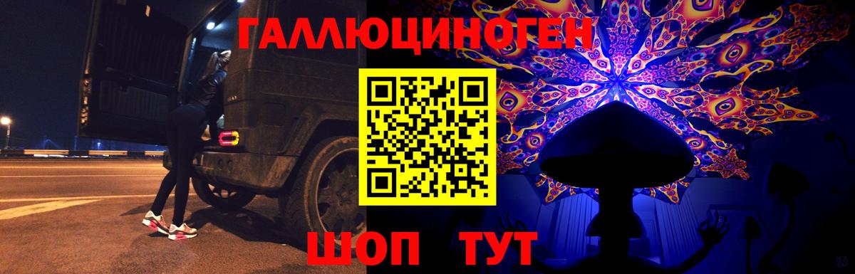 Псилоцибиновые грибы Cubensis  Галлюциногенные грибы мухоморы  Карачаевск  Вход с VPN 